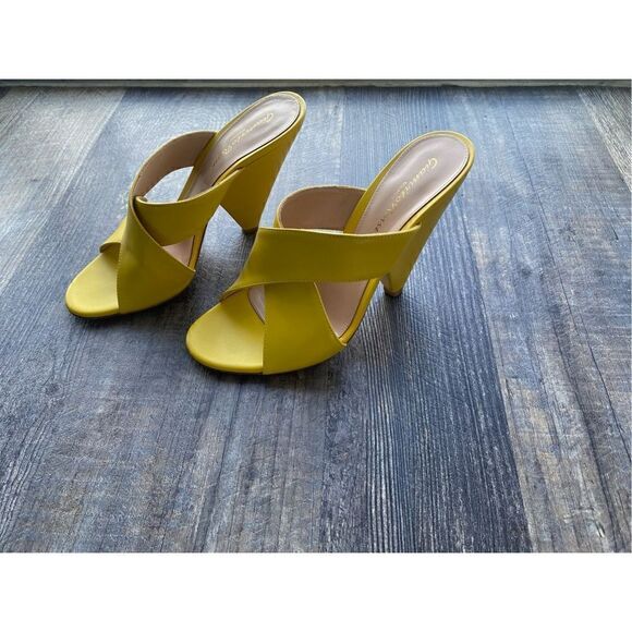[gianvito Rossi] heeled mules #7